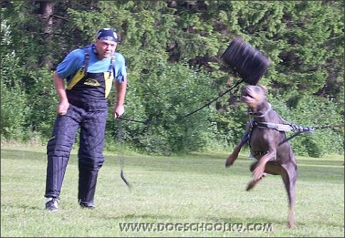 Summer training camp in Estonia 2007